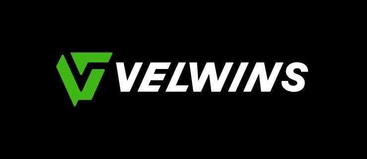 Velwins